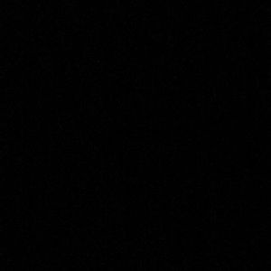 Meet your Posher, Griffin